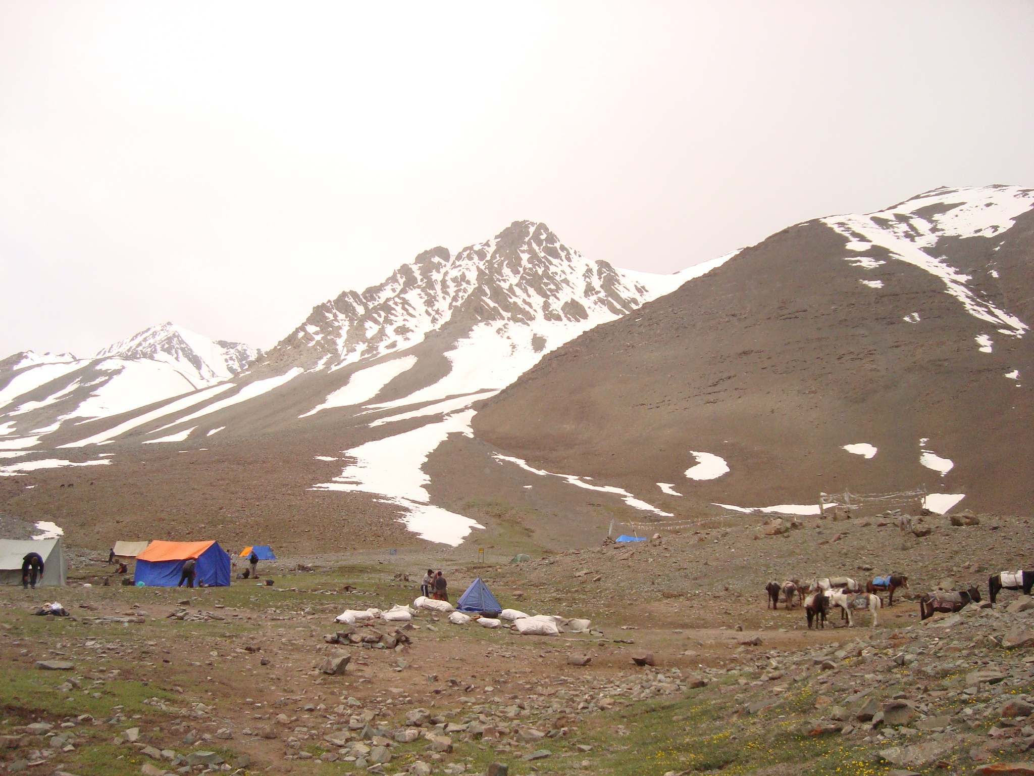 Trek to Stok Kangri (Ladakh)