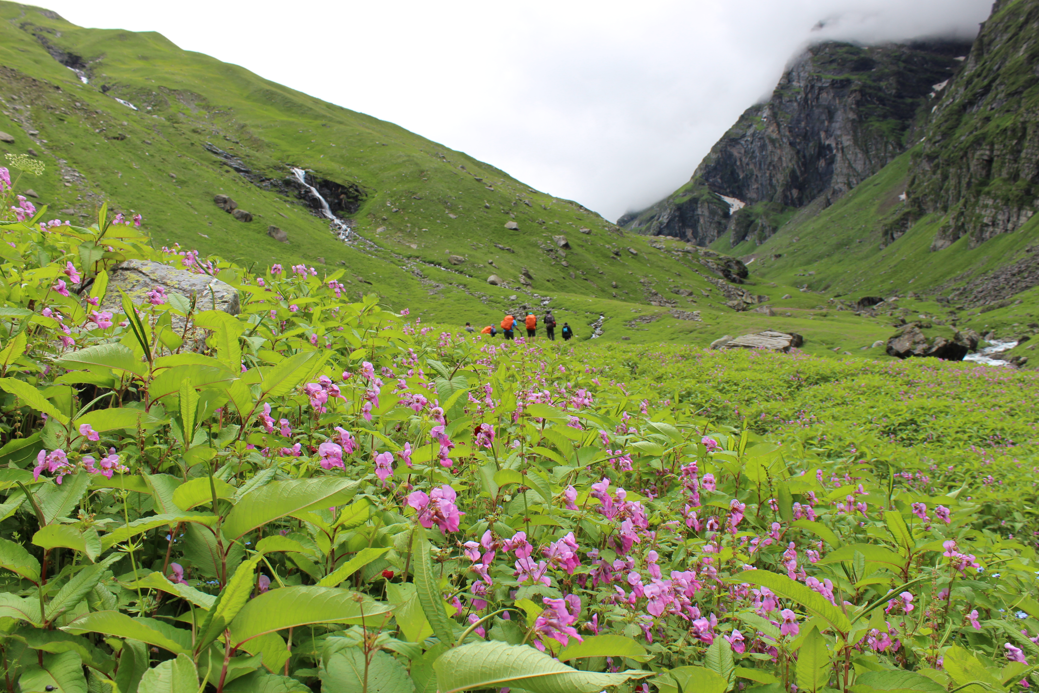 Hampta Pass - A Rendezvous For Men and Mountains