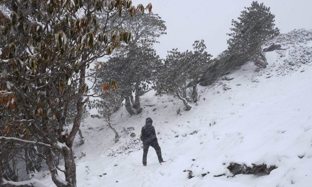Brahmatal Trek: Pros and Cons