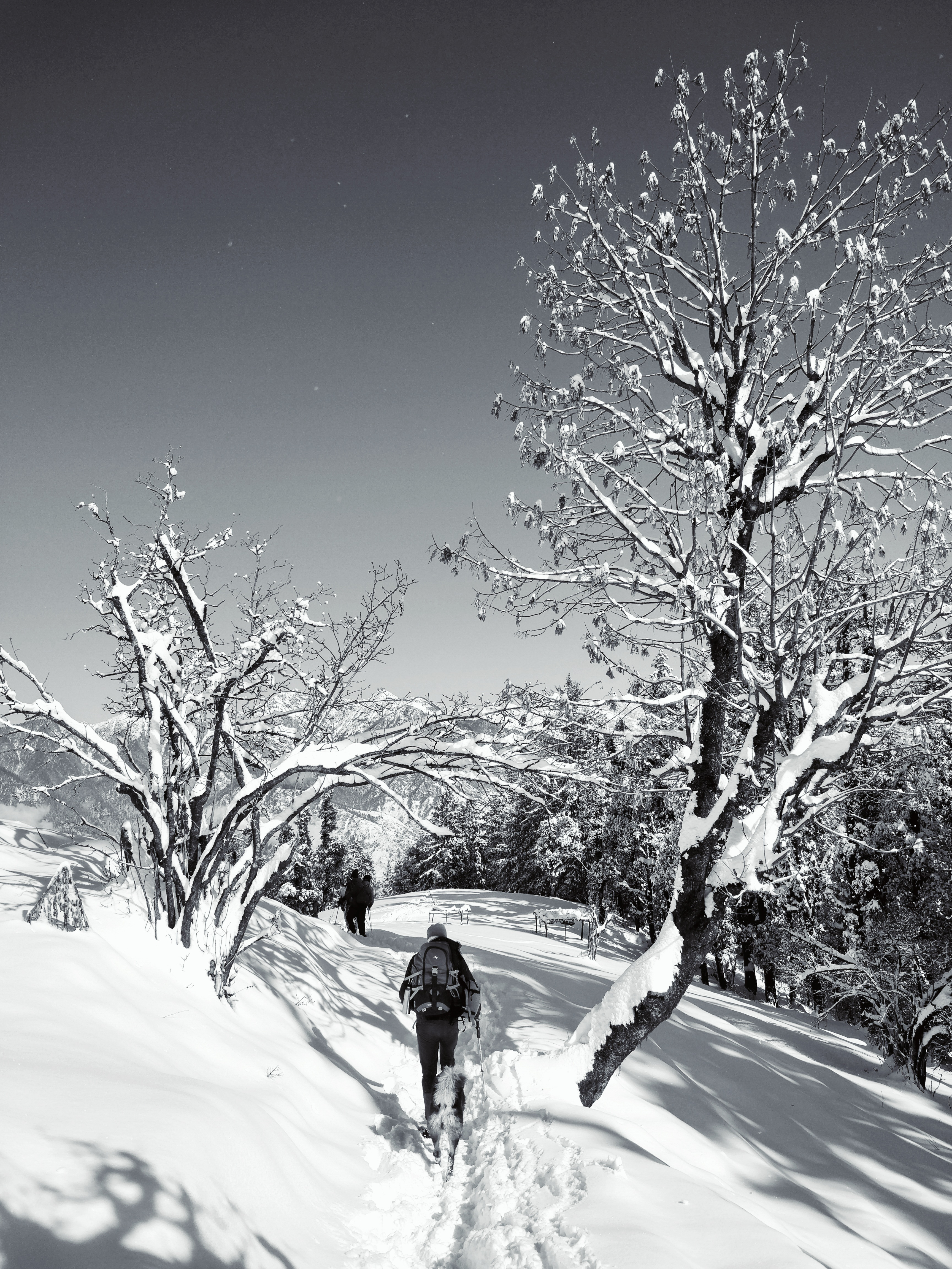 Instagram Photo Contest January 2018 Nominations