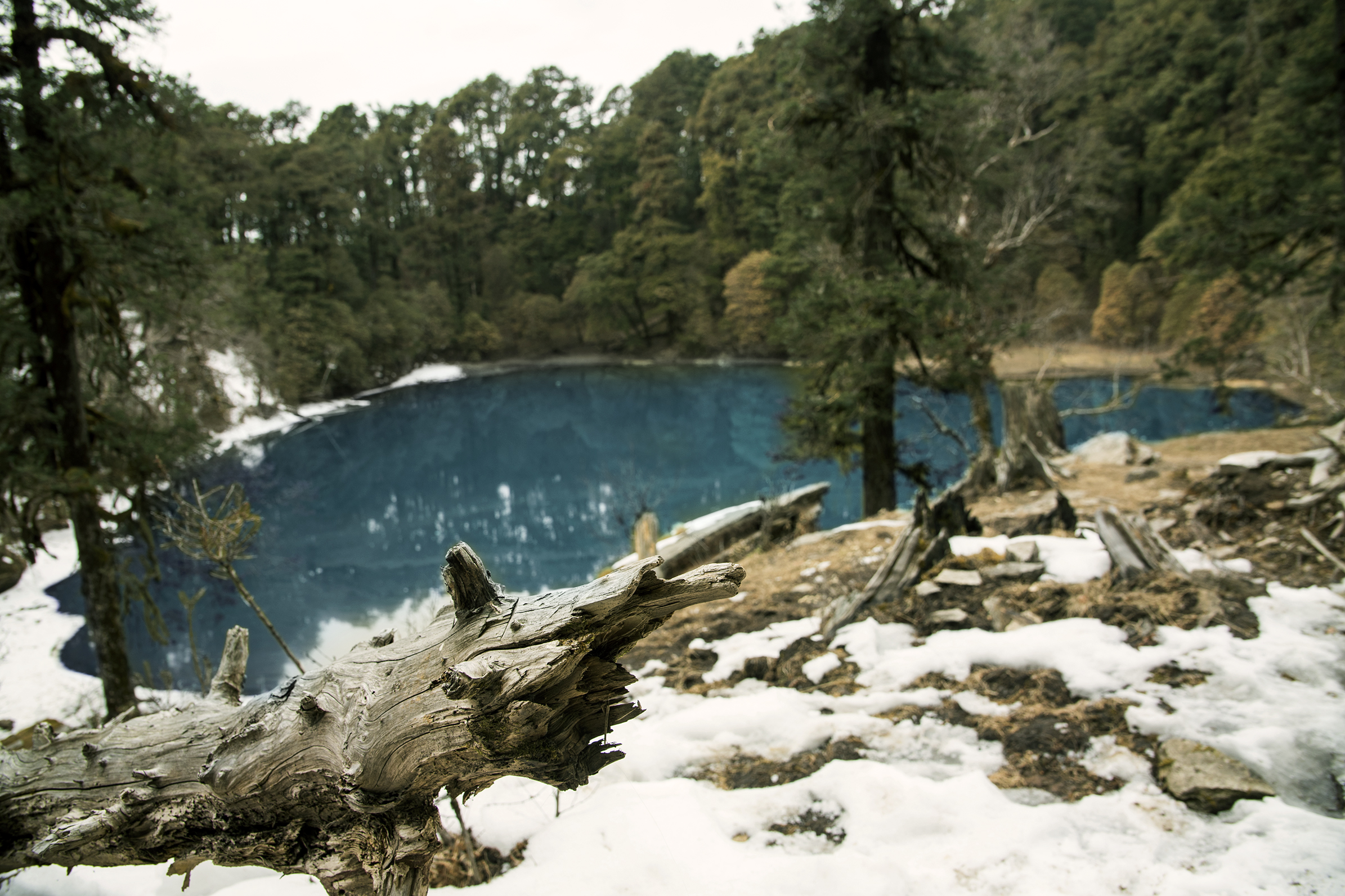 Brahmatal and Its Rise as a Winter Trek