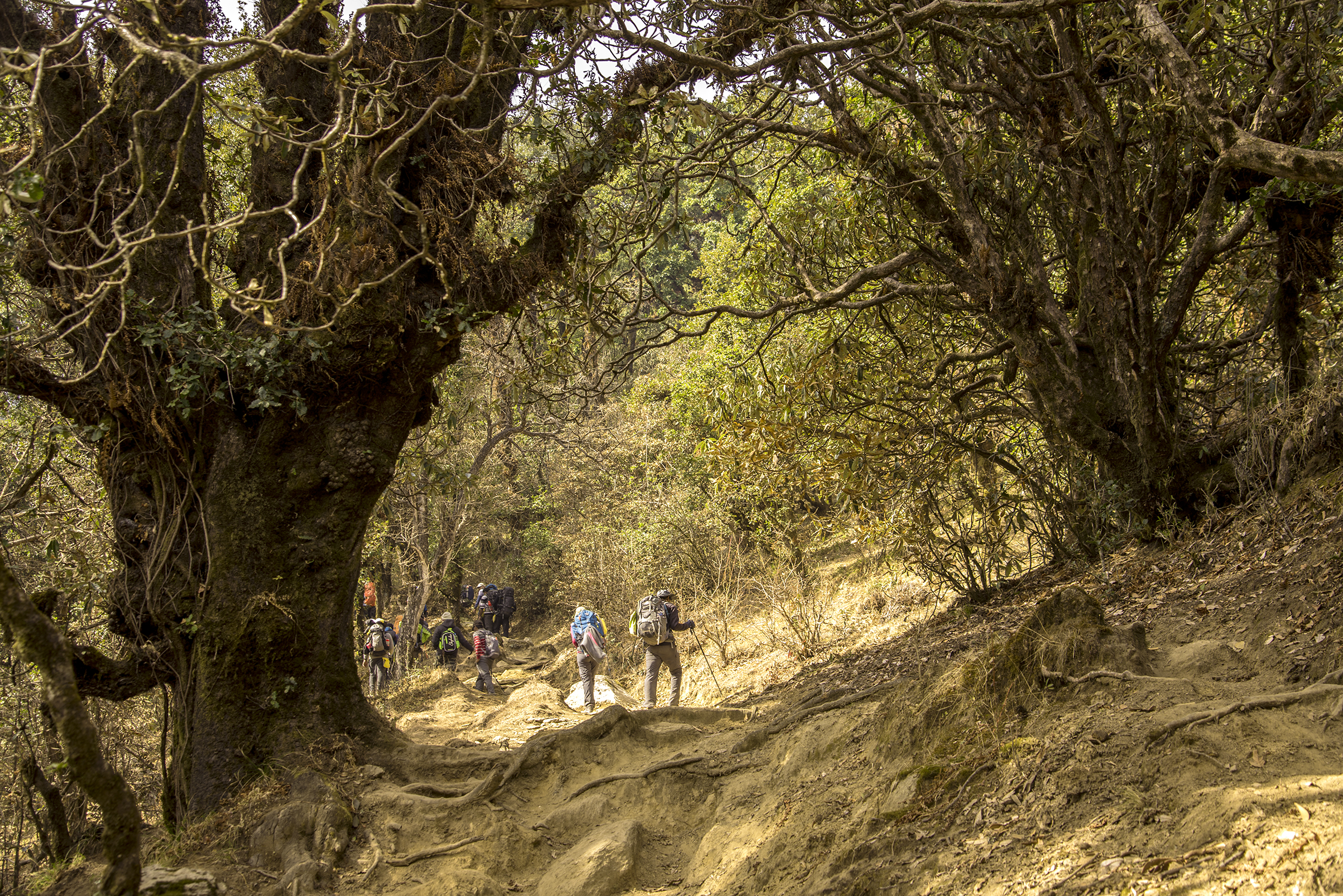 Brahmatal Photo Story