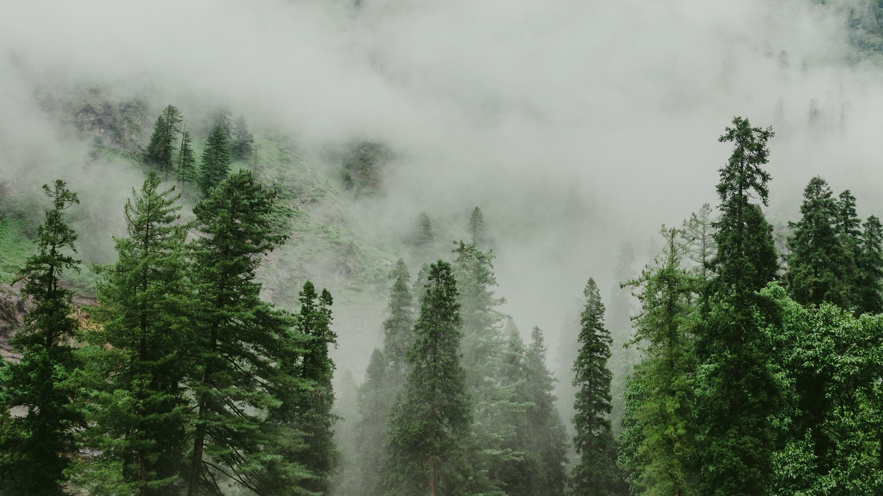 Precautions & Planning at Pin Parvati Pass trek