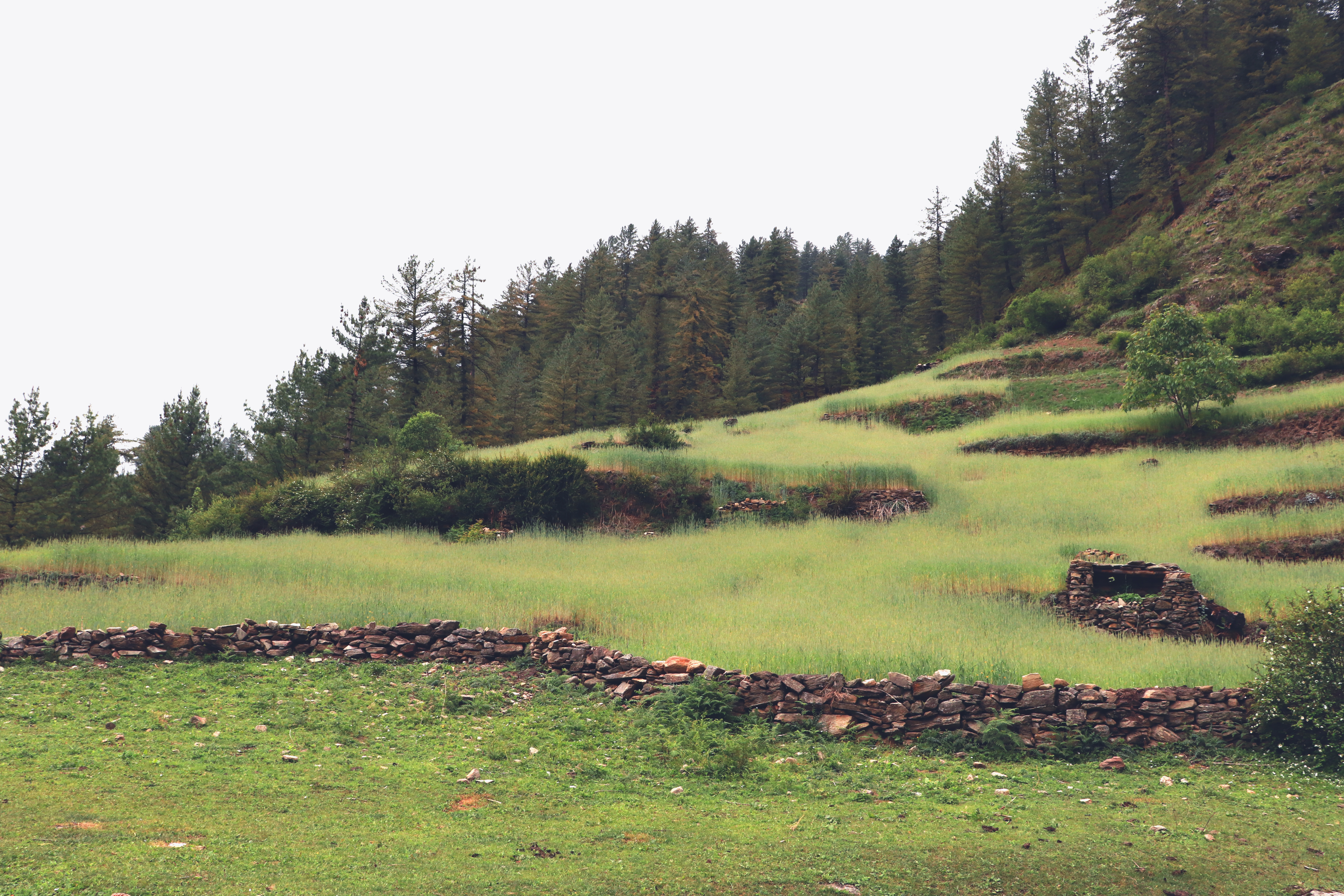 Buran Ghati A Picture Perfect Photo Story