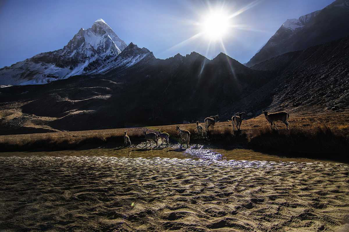 Instagram Trek Photo Contest July 2018 Nominations