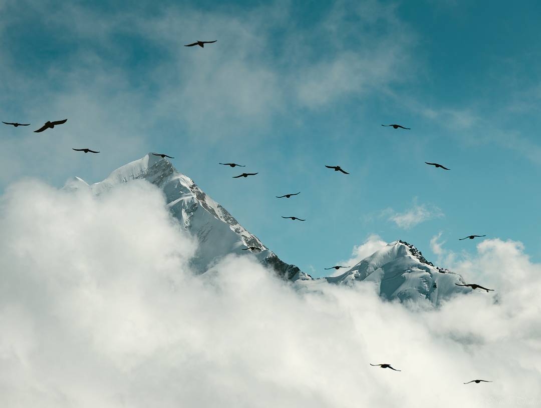 Instagram Trek Photo Contest July 2018 Nominations