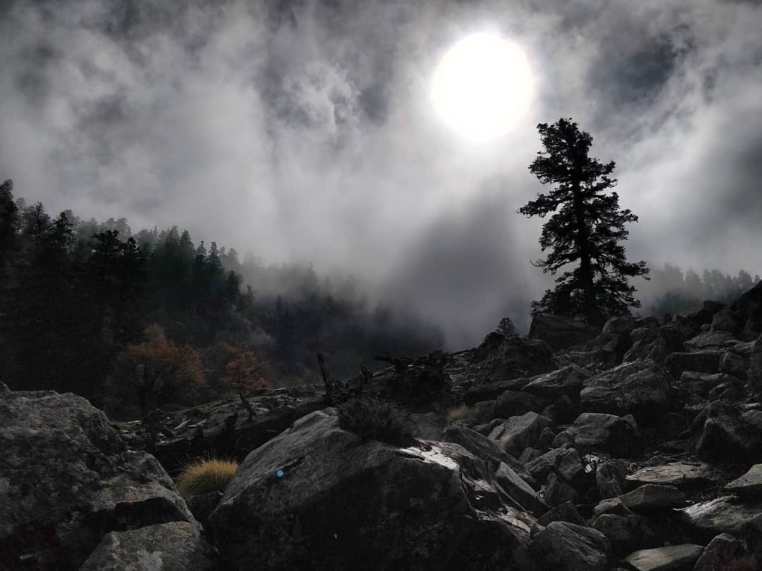 Instagram Trek Photo Contest July 2018 Nominations