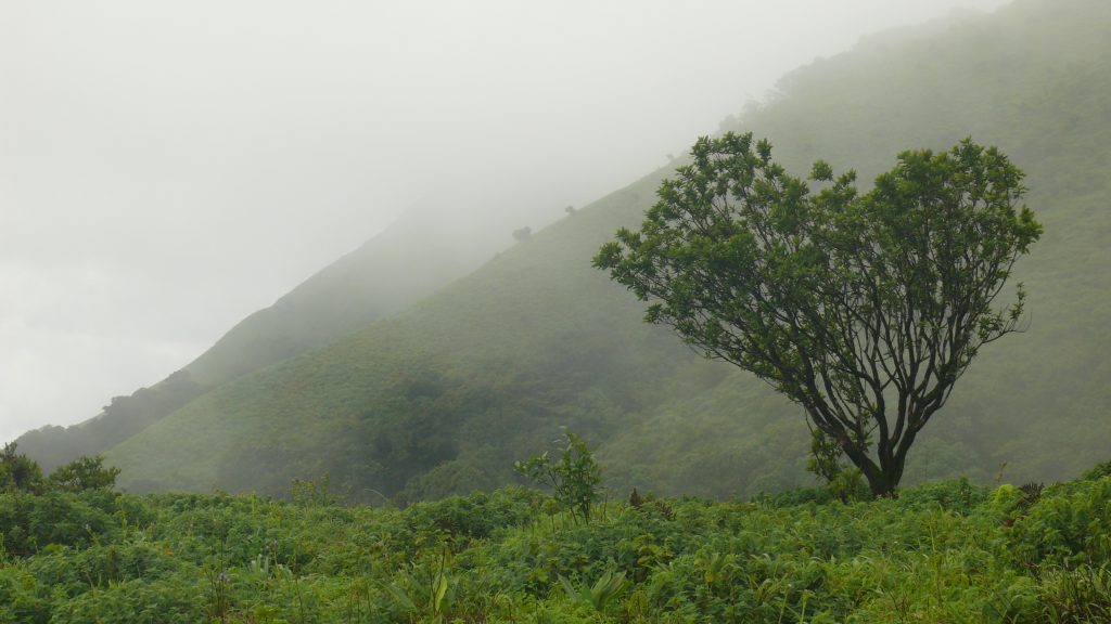 Tandiandamol : Perks Of Climbing The Road Less Traveled