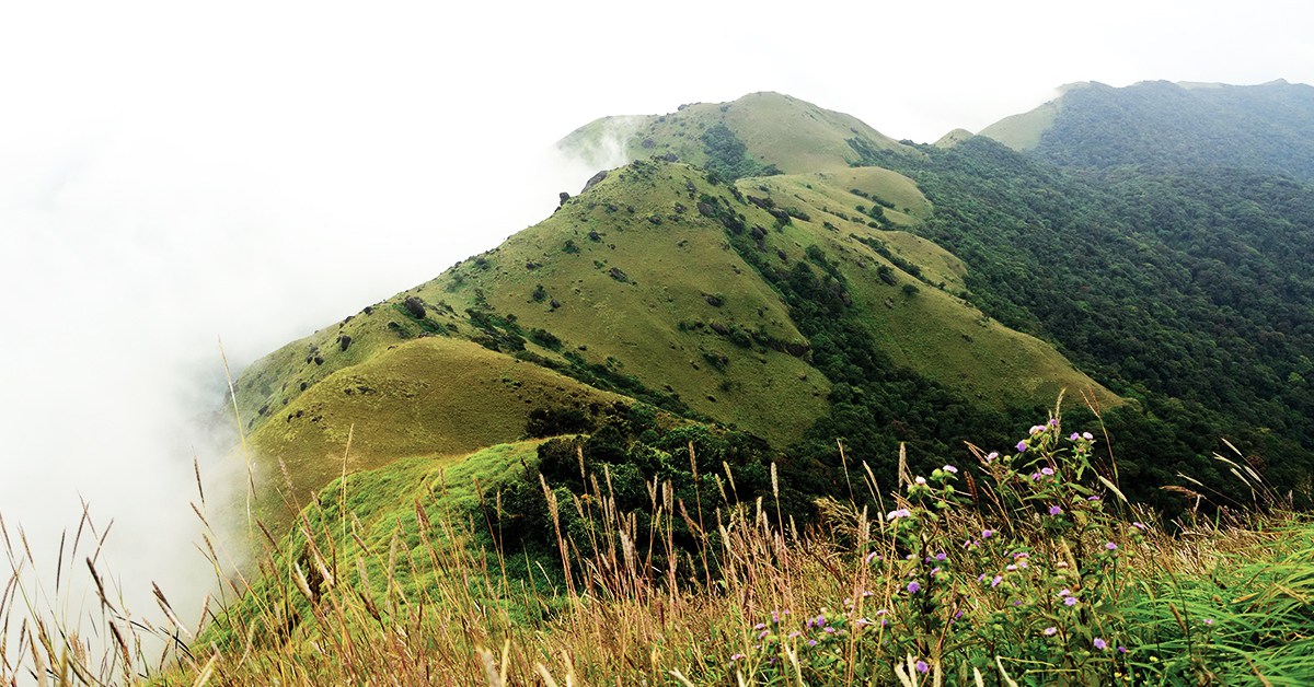 Tandiandamol : Perks Of Climbing The Road Less Traveled