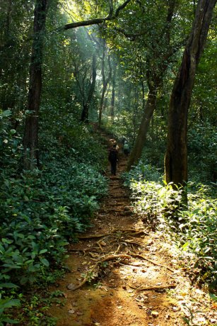 Milestones of the Kumara Parvatha trek 