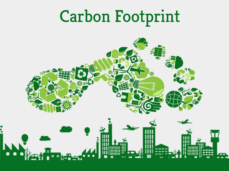 Breaking Down the Carbon Curse: All about carbon footprints
