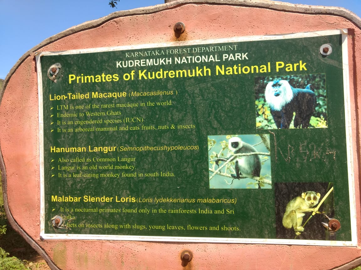 Must visits on your way to Kudremukh