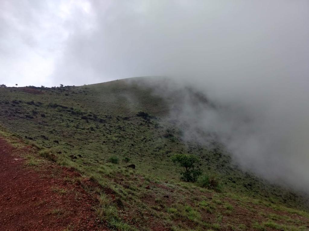Don't Let Rains Ruin Your Experience 