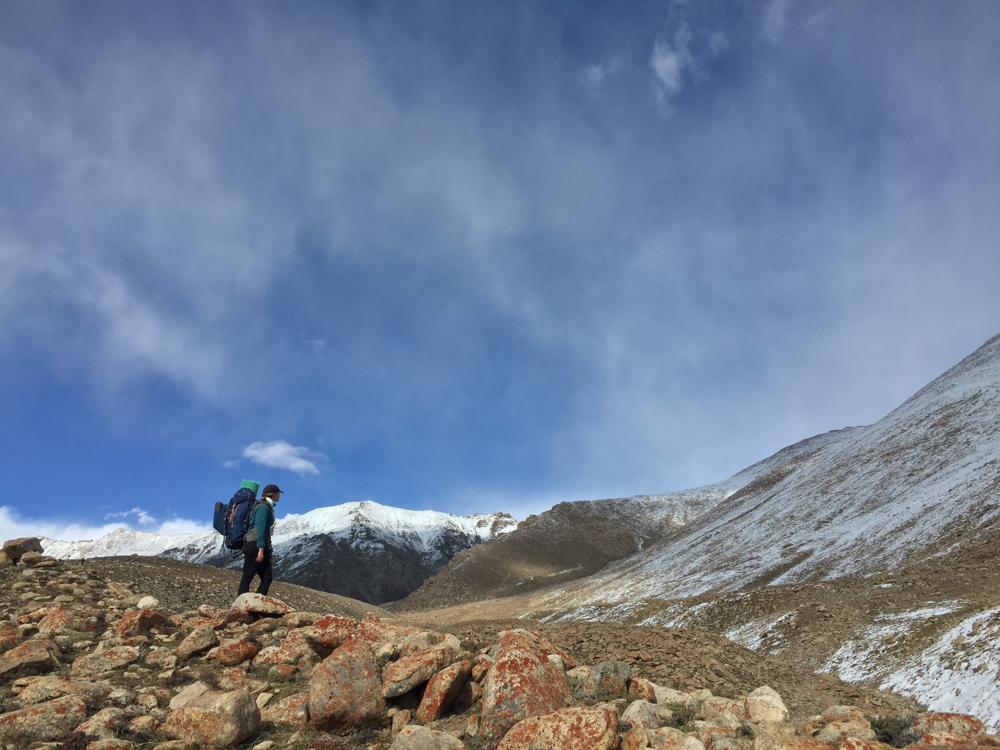 From Leh to Nubra with Wolves