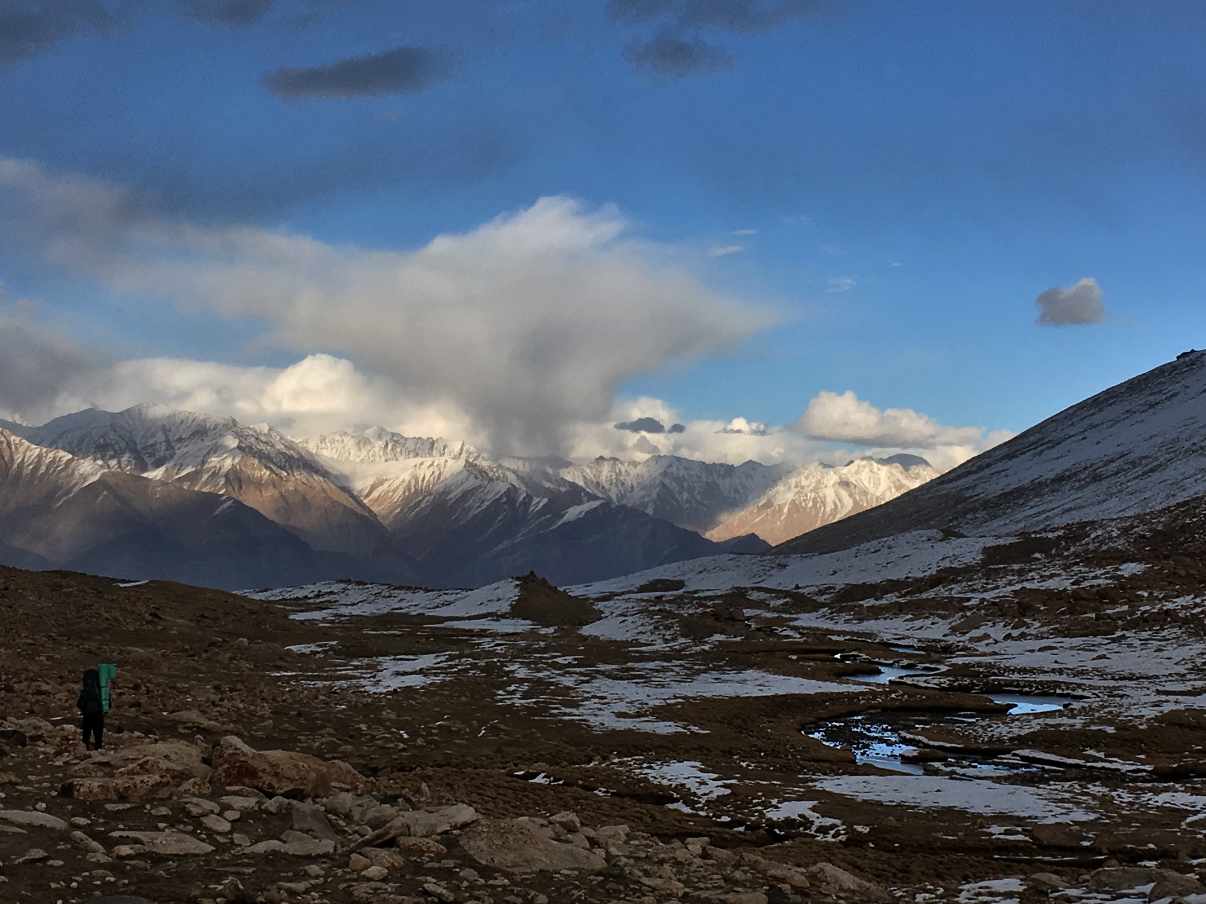 From Leh to Nubra with Wolves