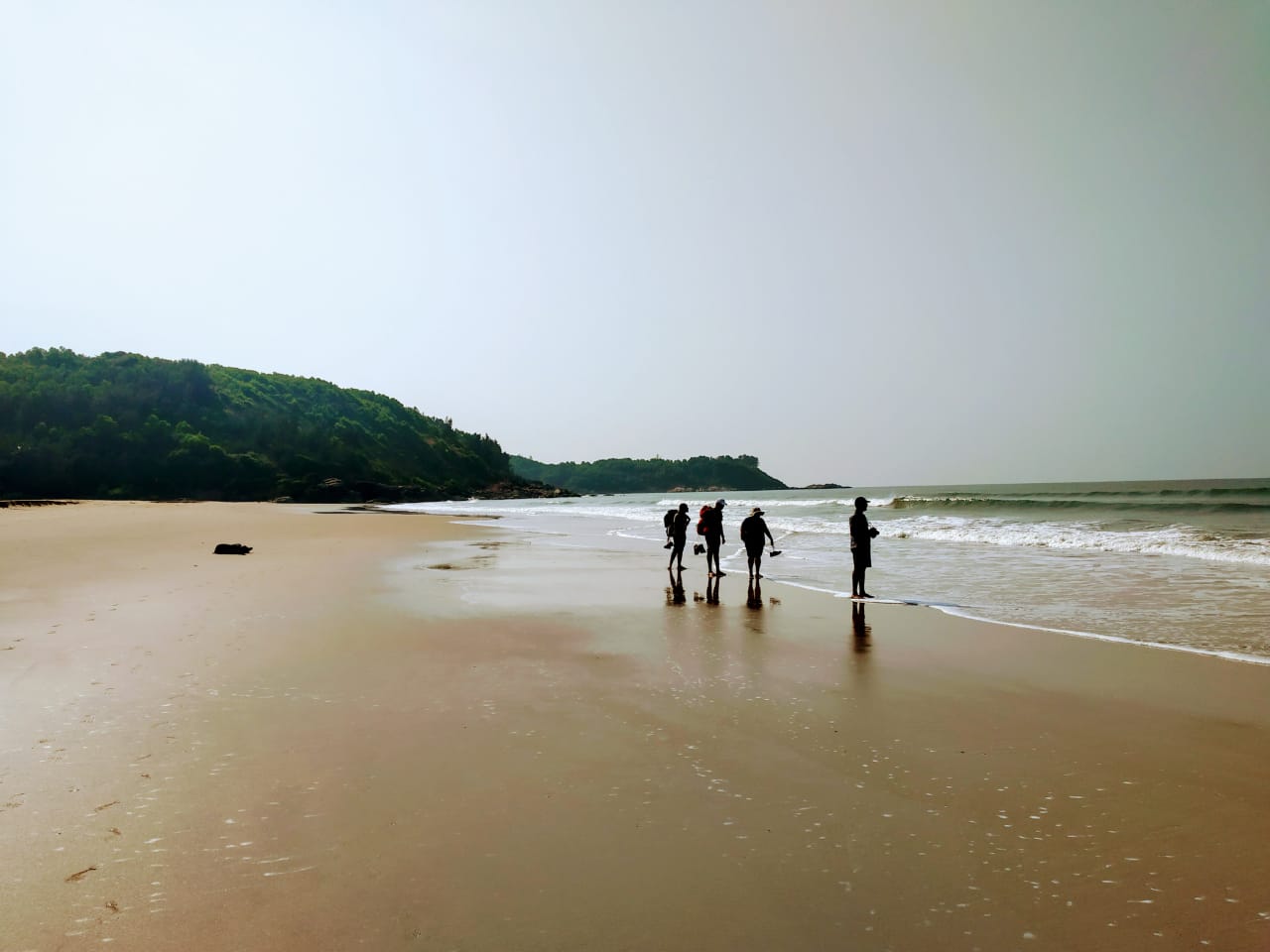 Latest Trek Updates - News From The Trail