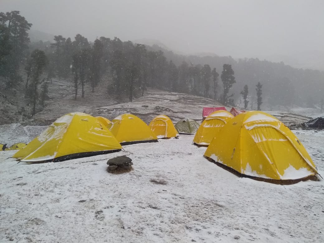 Latest Trek Updates - News From The Trail