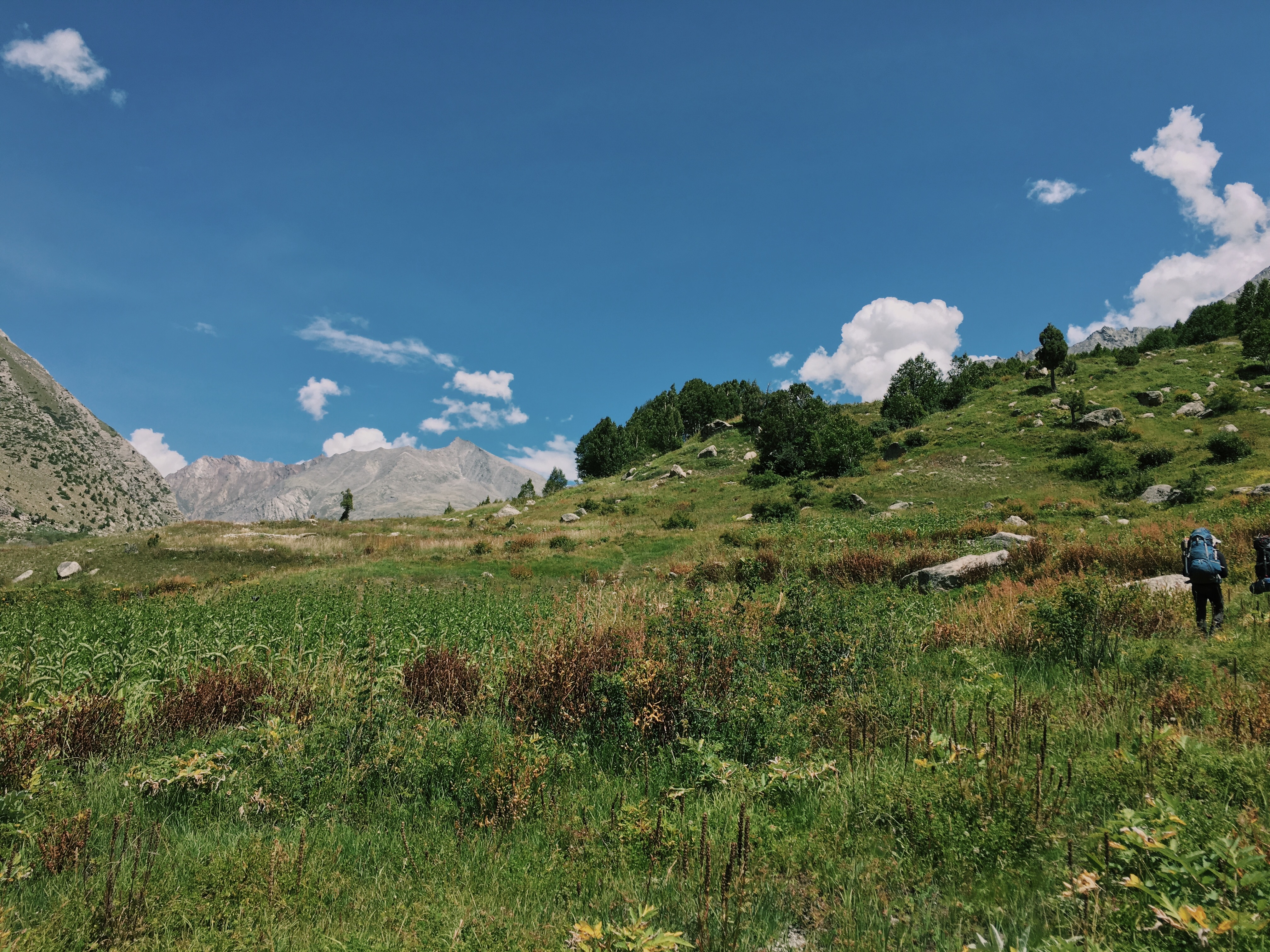 Top Five Reasons to do the Kang La Trek
