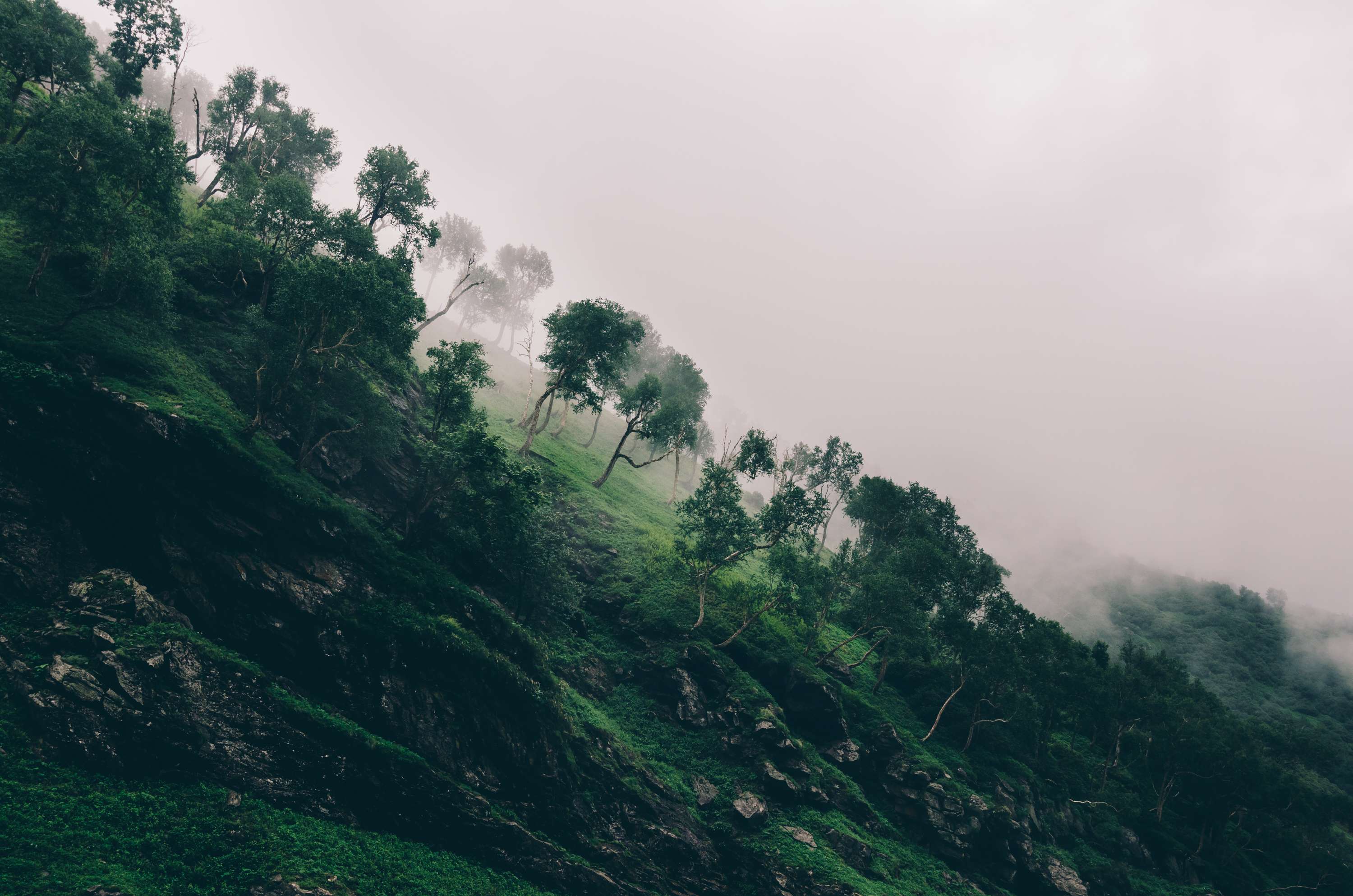 Hampta Pass Trek Blogs