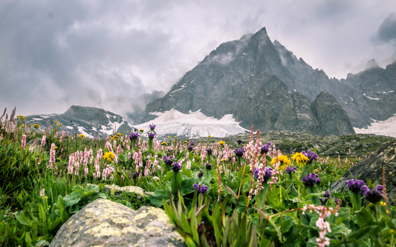 Kashmir Great Lakes Trek Blogs