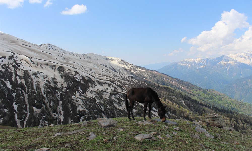 Do the Bhrigu Lake Trek before its too late. 