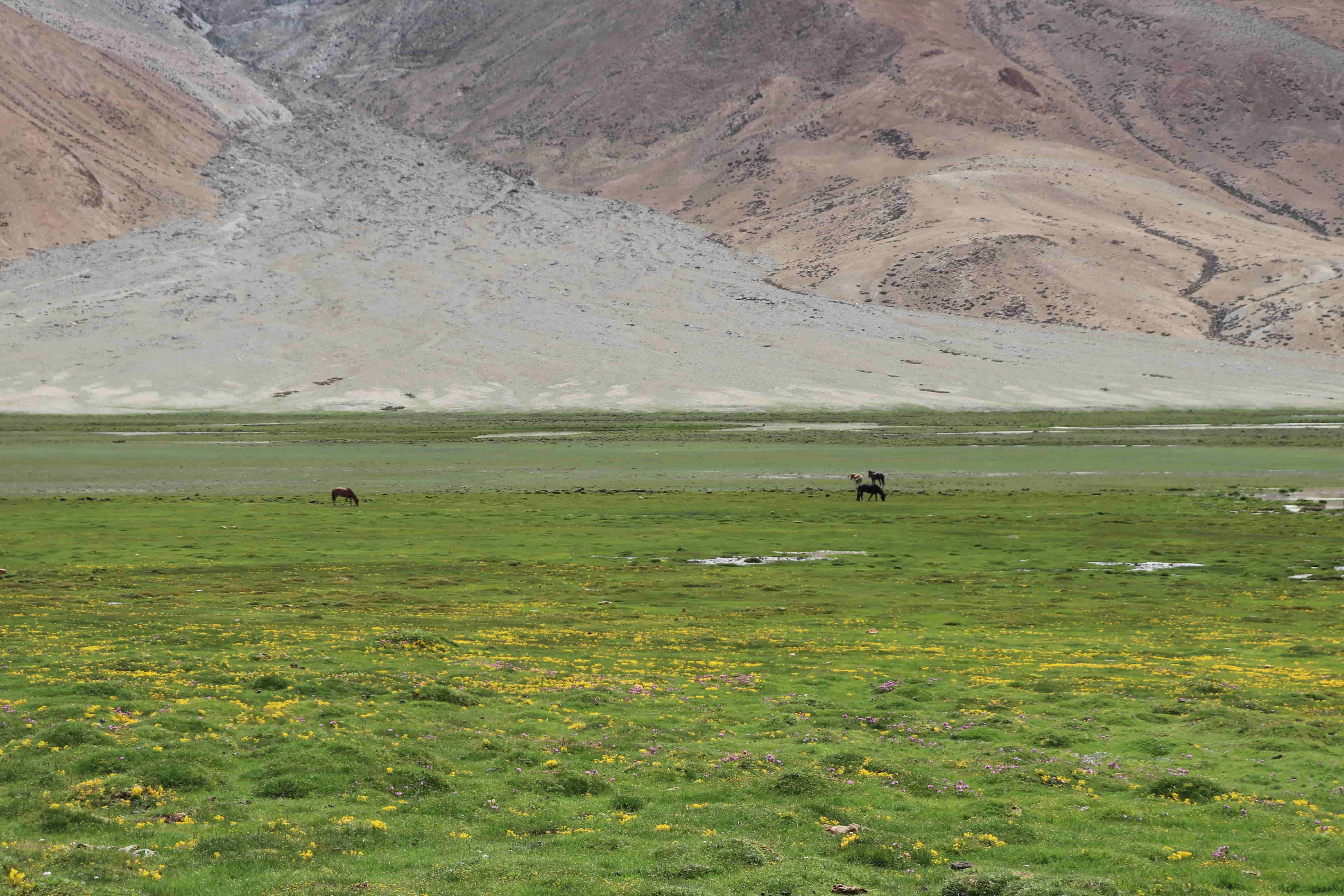Top Five Challenging Himalayan Crossover Treks
