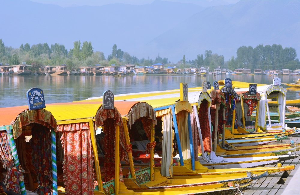 Srinagar and Kashmir: Touring while Trekking