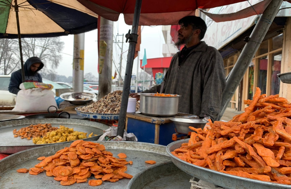 Srinagar and Kashmir: Touring while Trekking