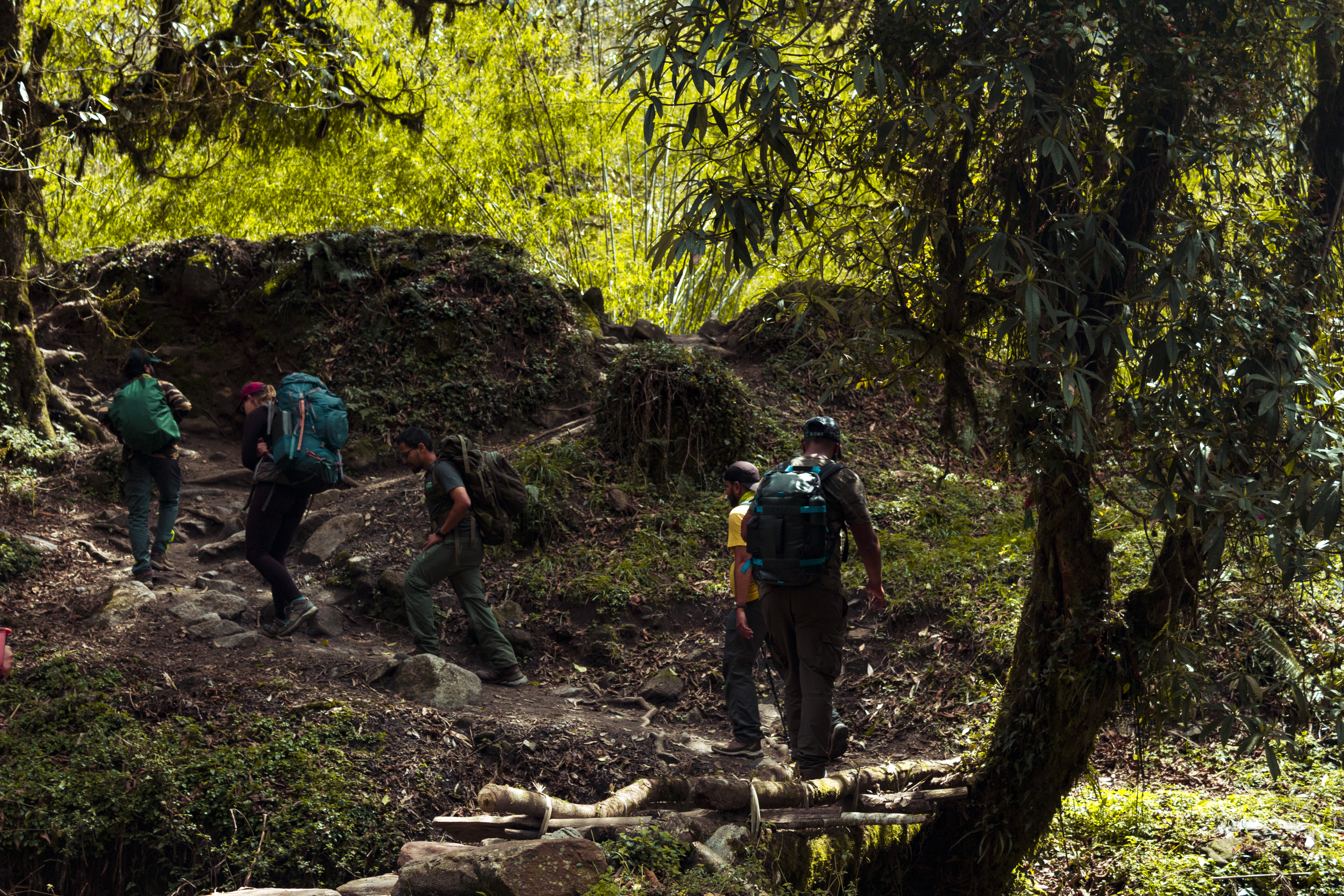 Meeting Annapurna: The Road To Base Camp