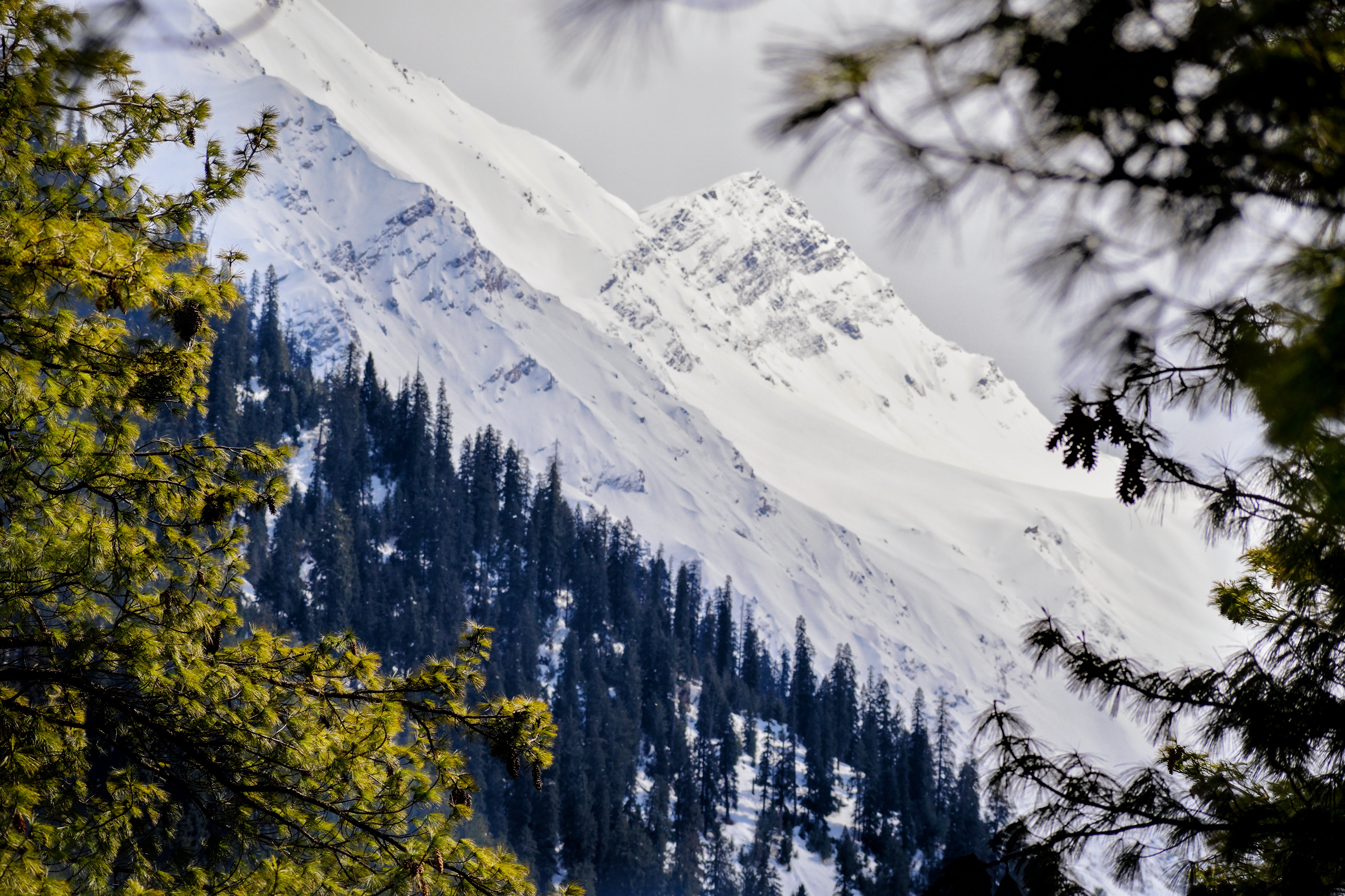 Instagram Trek Photo Contest April 2019 Nominations