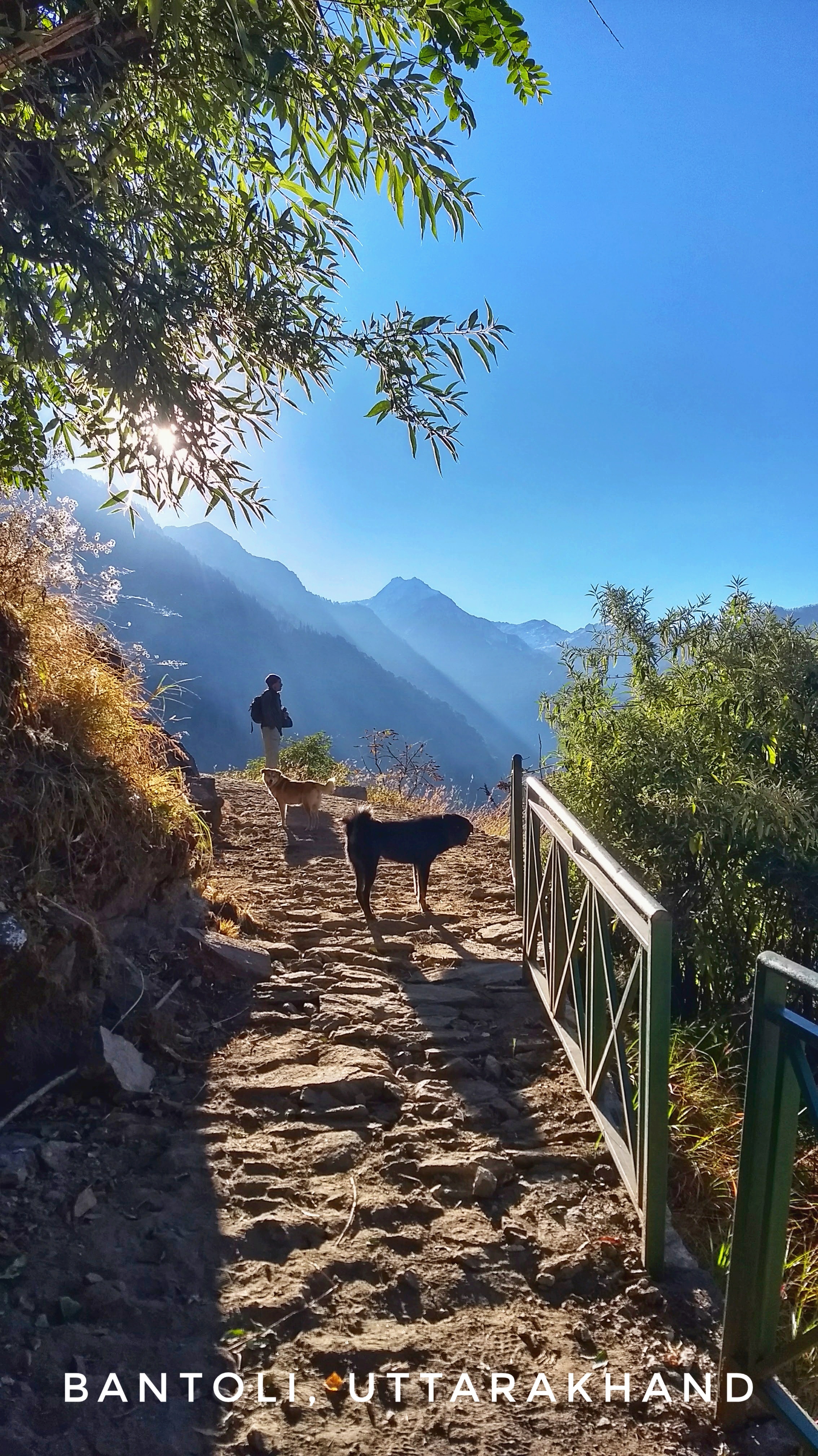 Instagram Trek Photo Contest April 2019 Nominations