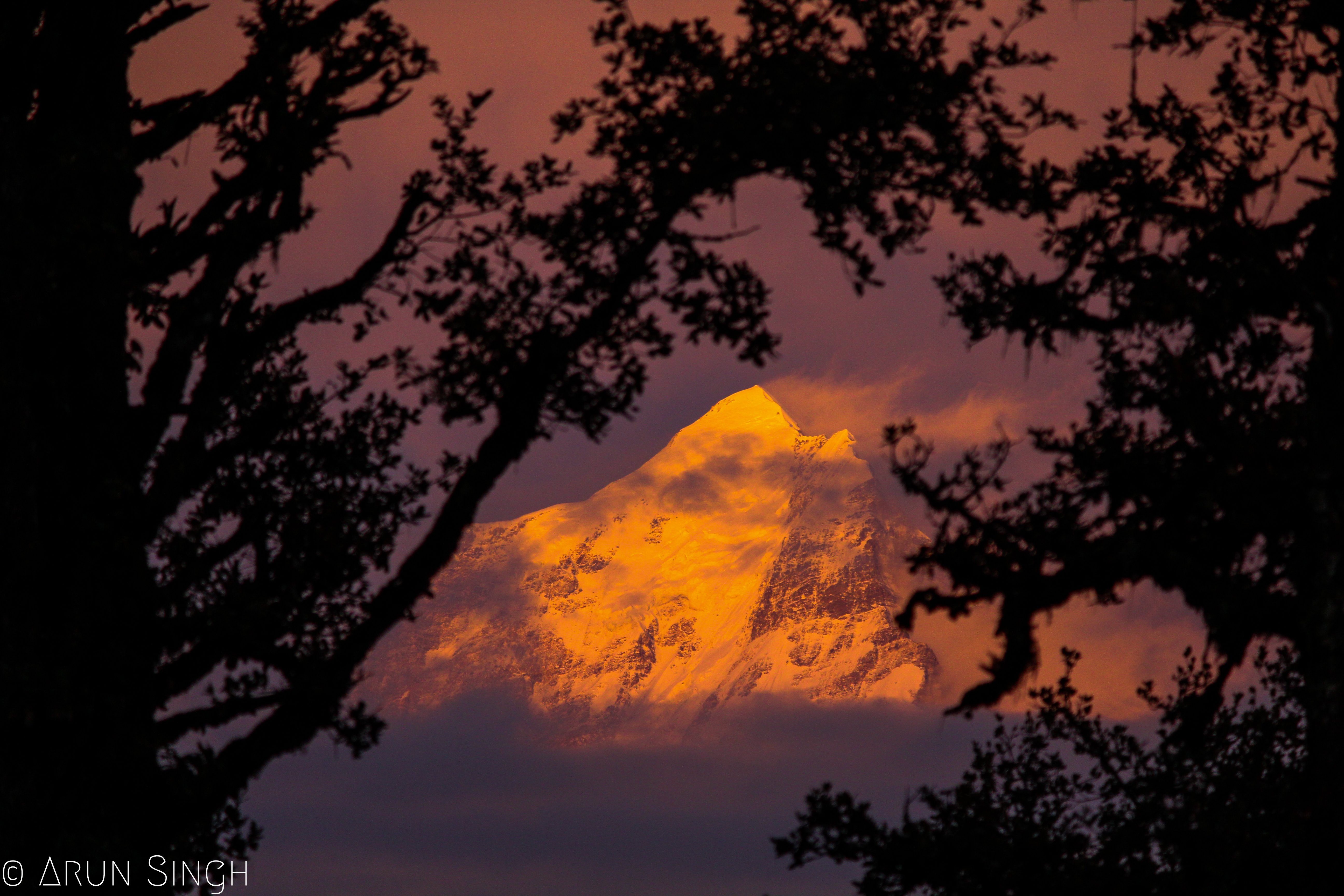 Instagram Trek Photo Contest April 2019 Nominations