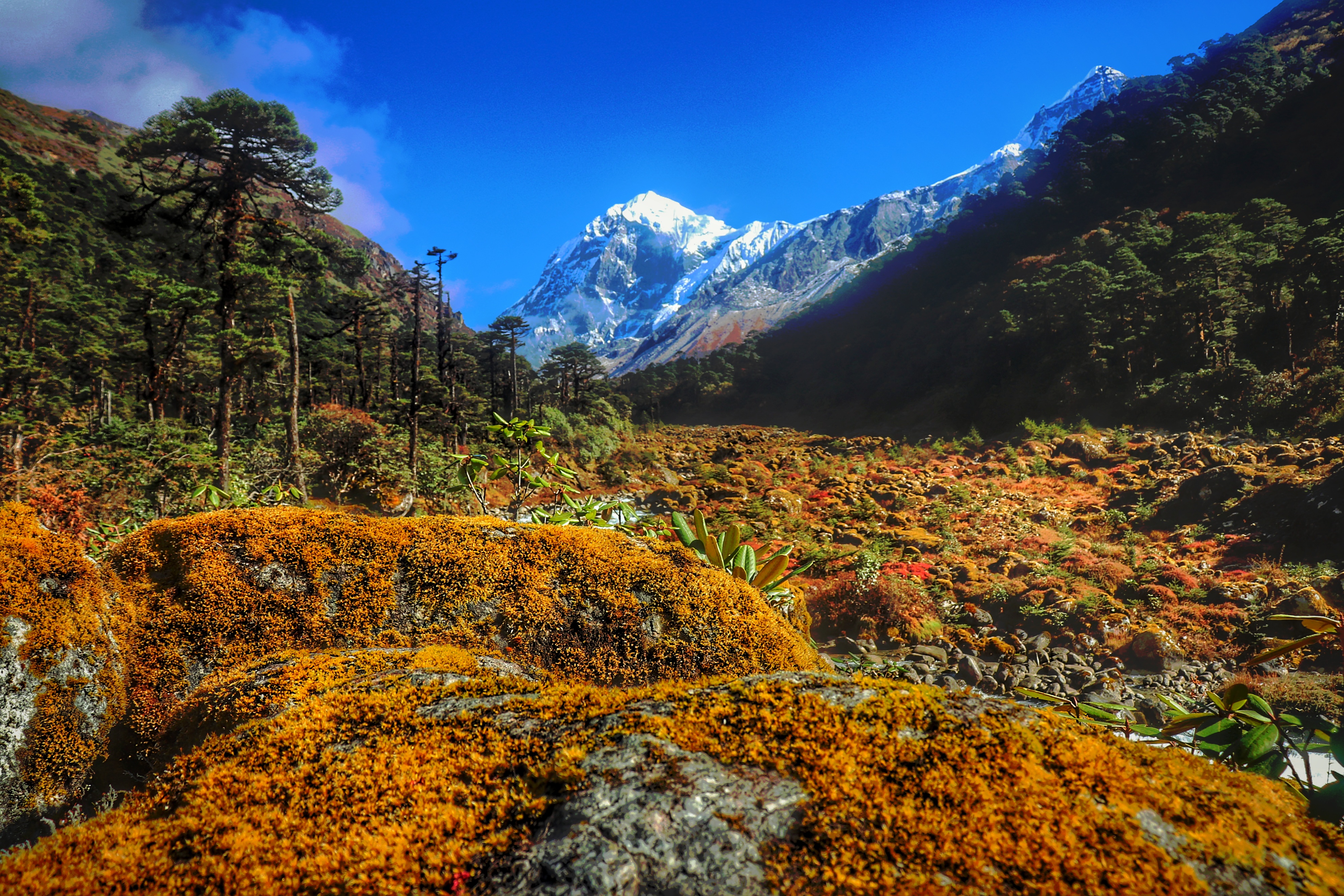 Instagram Trek Photo Contest April 2019 Nominations