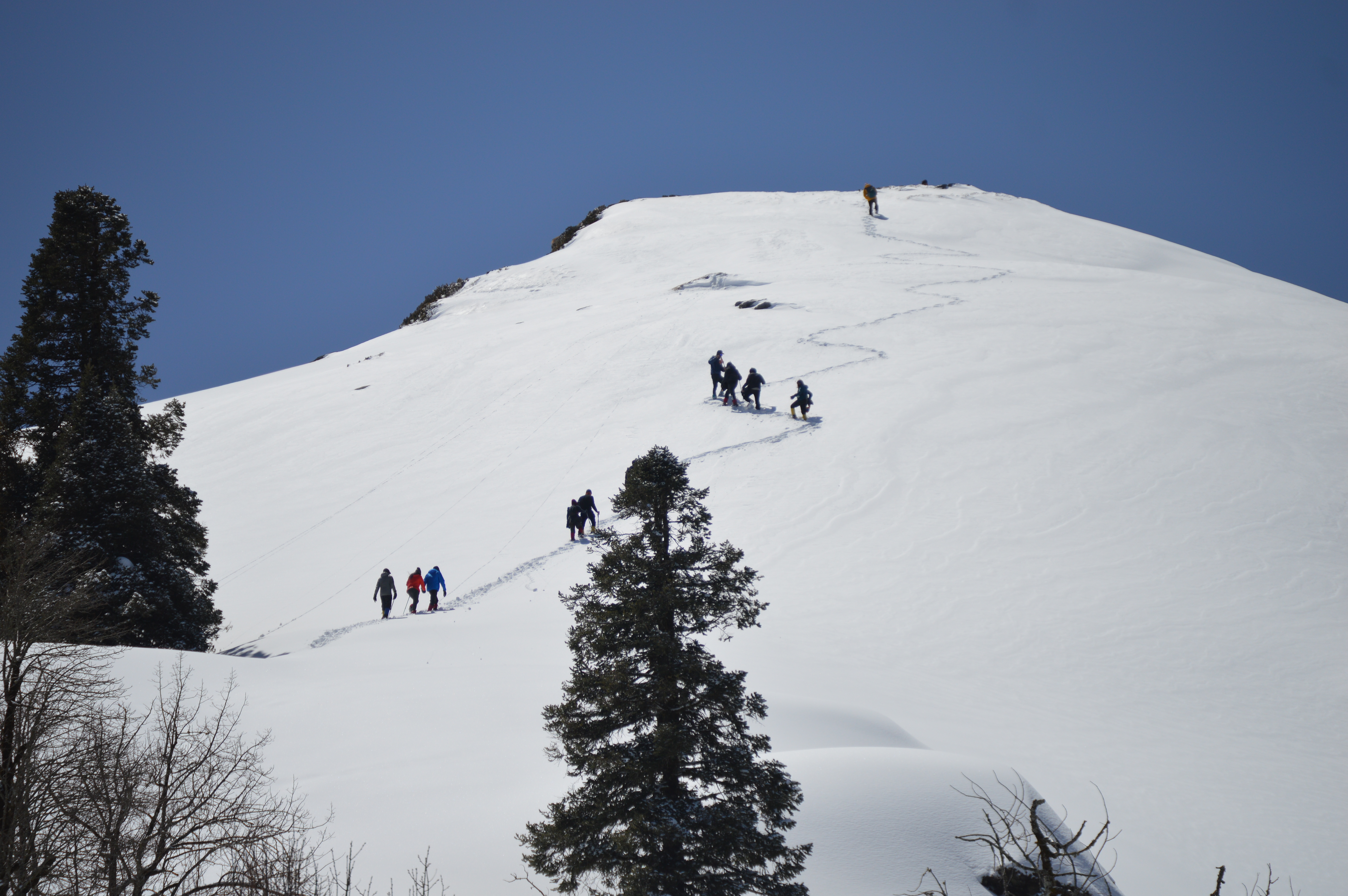 Instagram Trek Photo Contest April 2019 Nominations