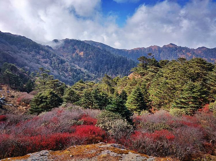 Instagram Trek Photo Contest April 2019 Nominations