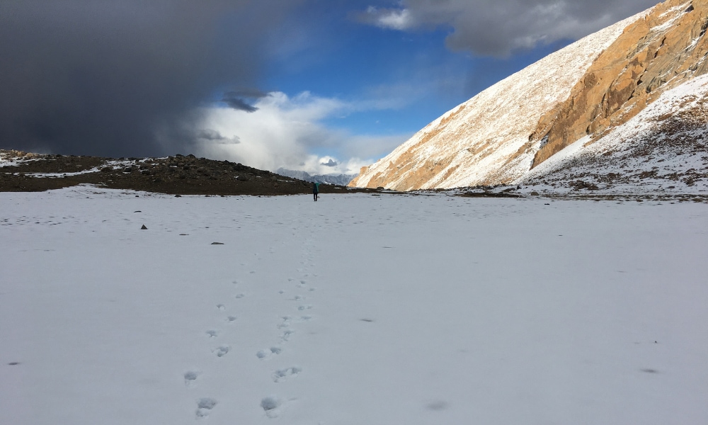 Top 40 treks to do in India 