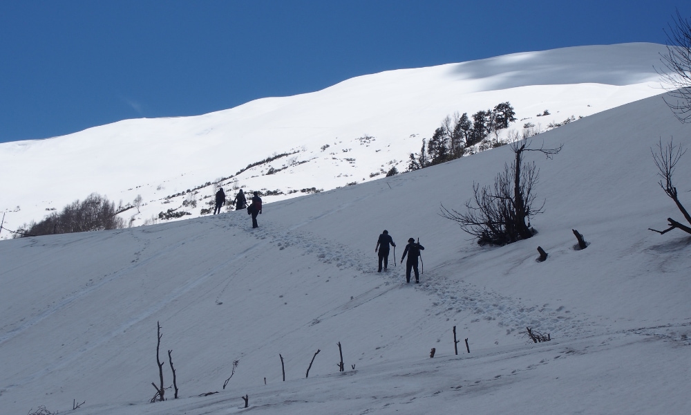 Top 40 treks to do in India 