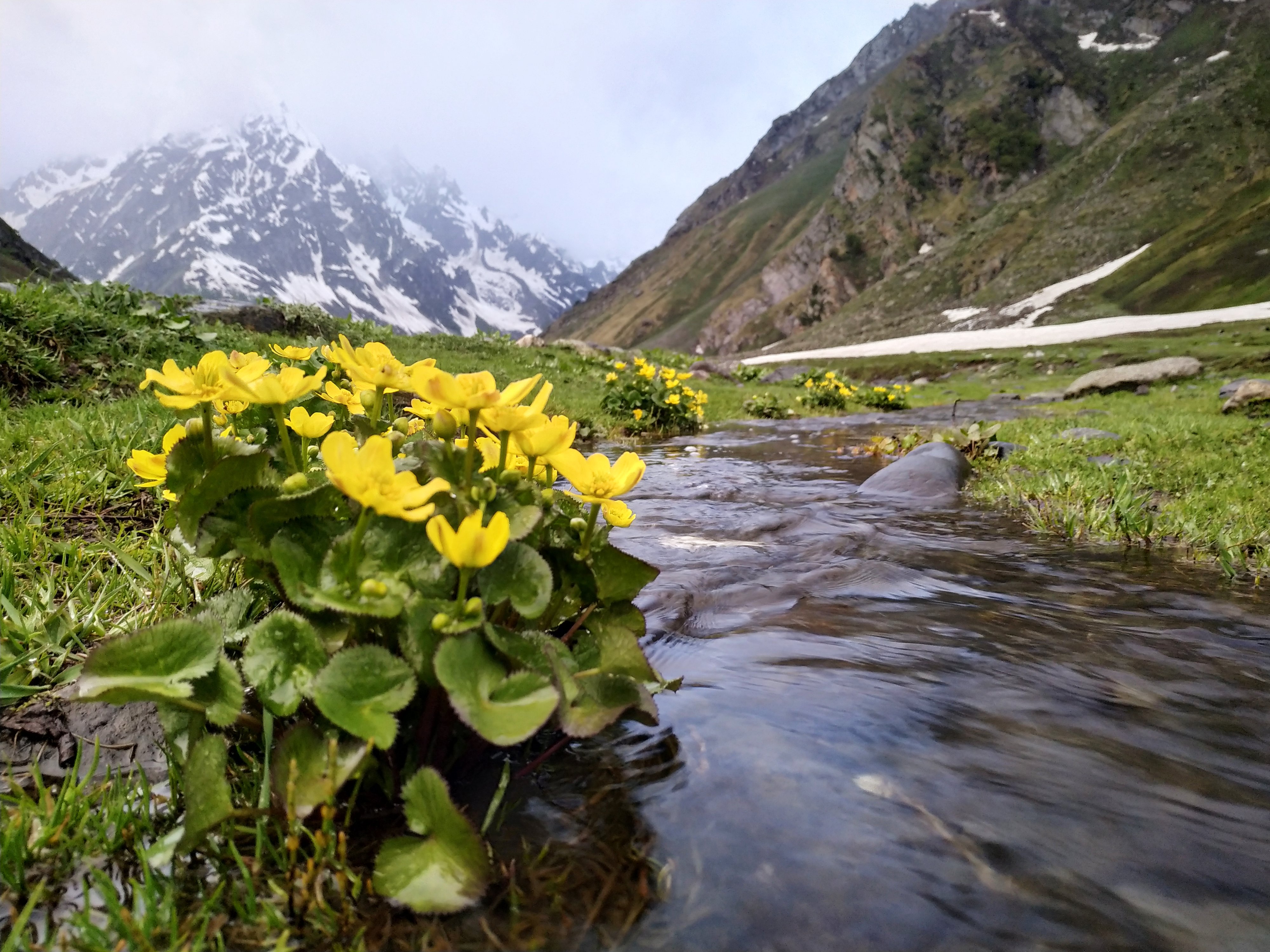 Pin Bhabha Pass or Buran Ghati Trek – Where will you head this summer?