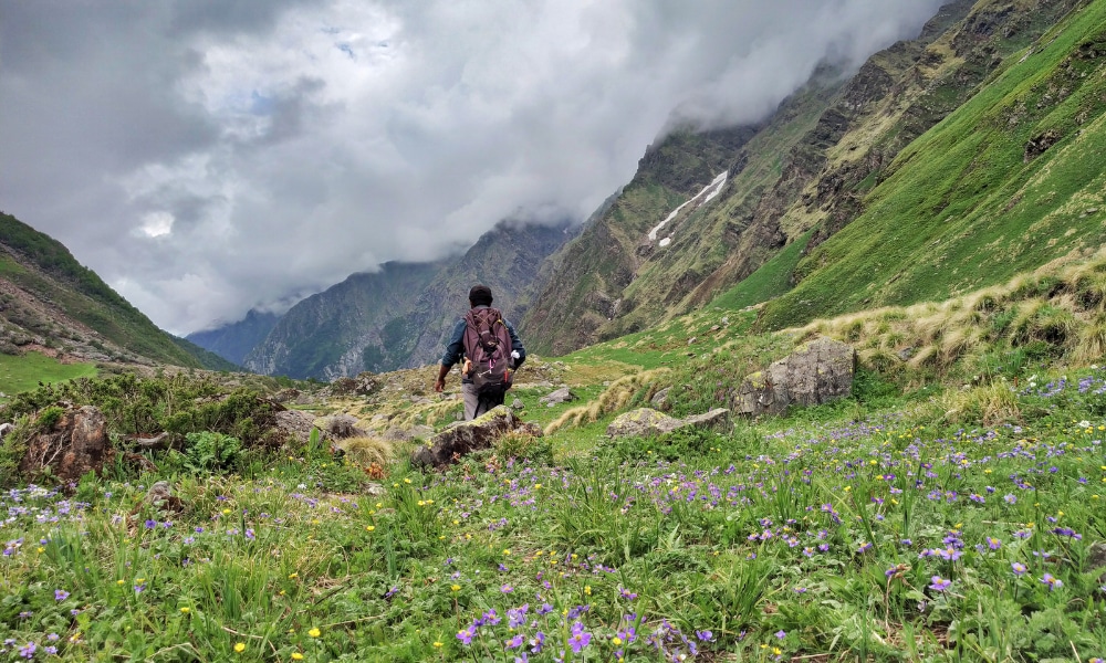 Did you know this "Trek of the Year-2019" beats Har ki Dun?