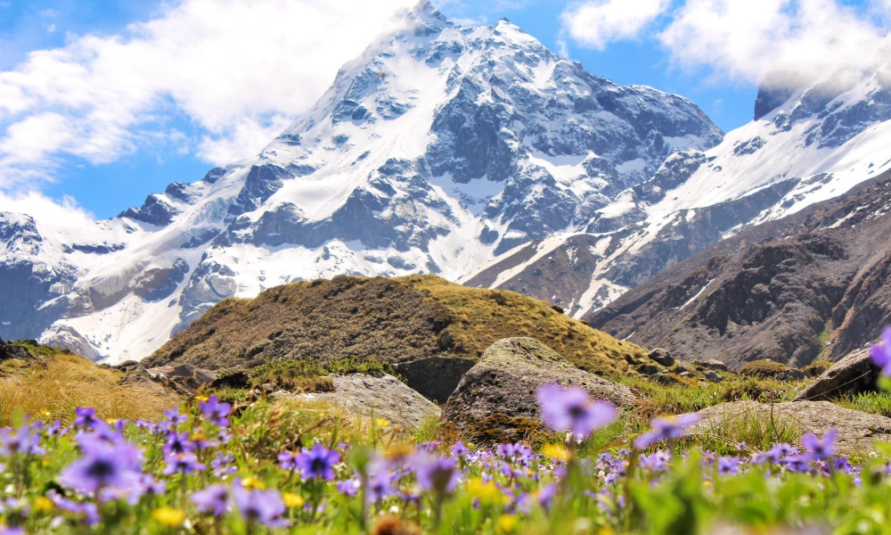 Did you know this "Trek of the Year-2019" beats Har ki Dun?