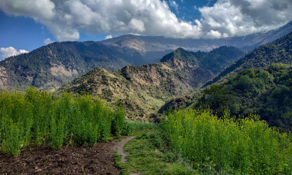 Story of the most underrated trek in Nepal: My Khopra Ridge Journey