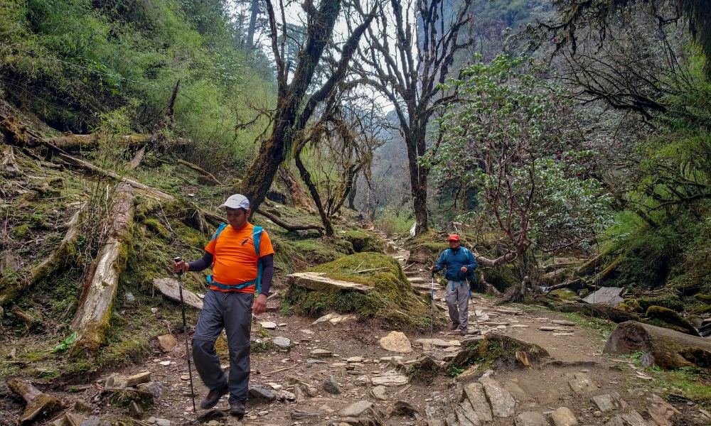 Story of the most underrated trek in Nepal: My Khopra Ridge Journey