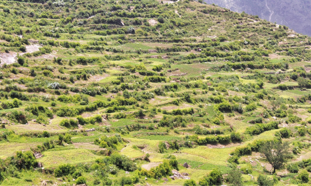Baraadsar Lake Trek Photo Story