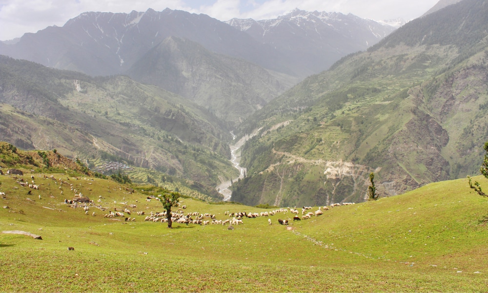 Baraadsar Lake Trek Photo Story