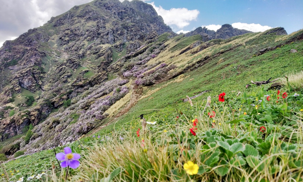 Baraadsar Lake Trek Photo Story
