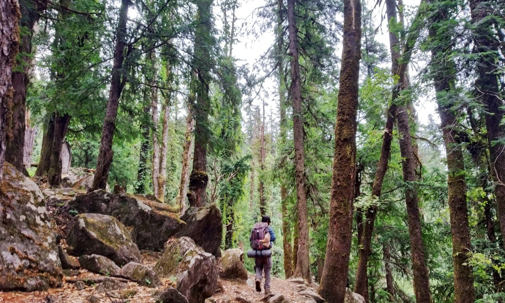 Baraadsar Lake Trek Photo Story