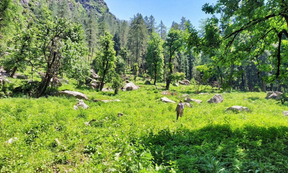 Devkyara Trek Photo Story