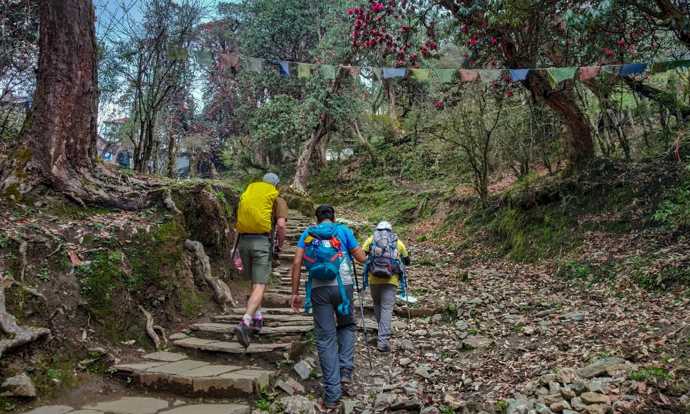 Do Nepal's Most Underestimated Trek Our Way