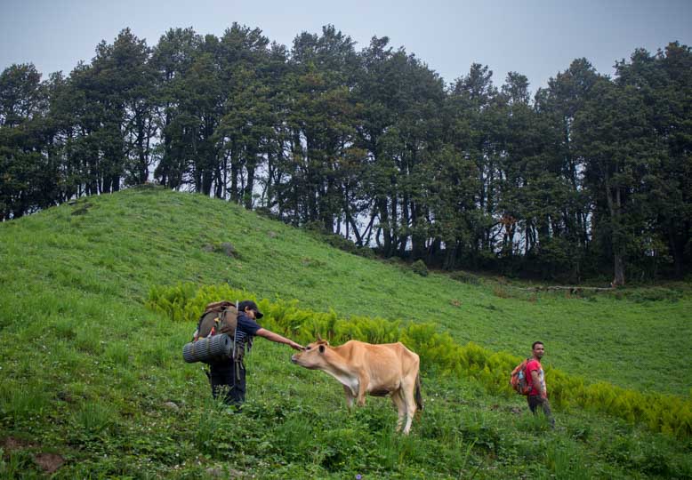Highlights Of Kalihani Pass 