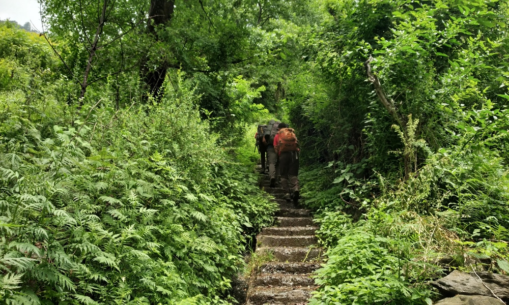 Why The Most Popular Monsoon Trek Of India Needs A Reality Check